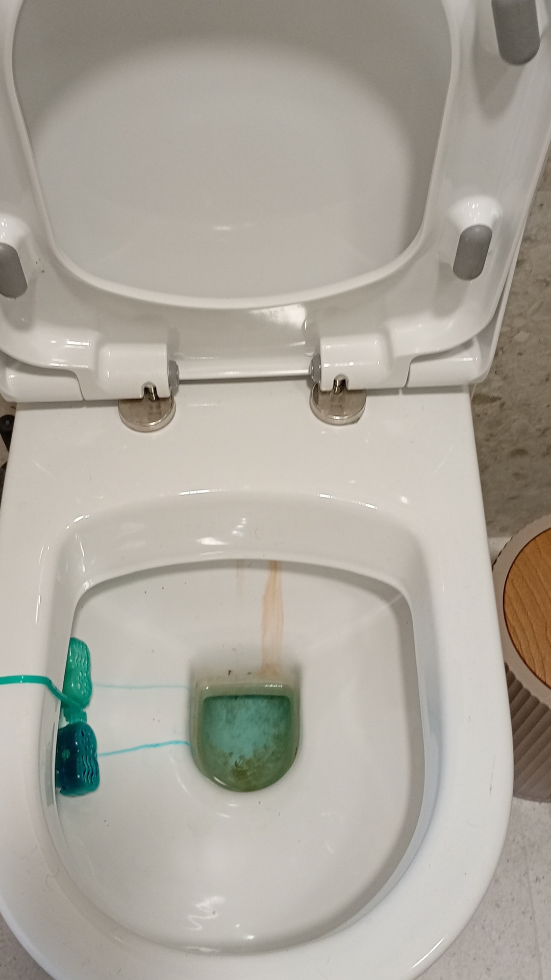 Before photo for Bathroom Cleaning