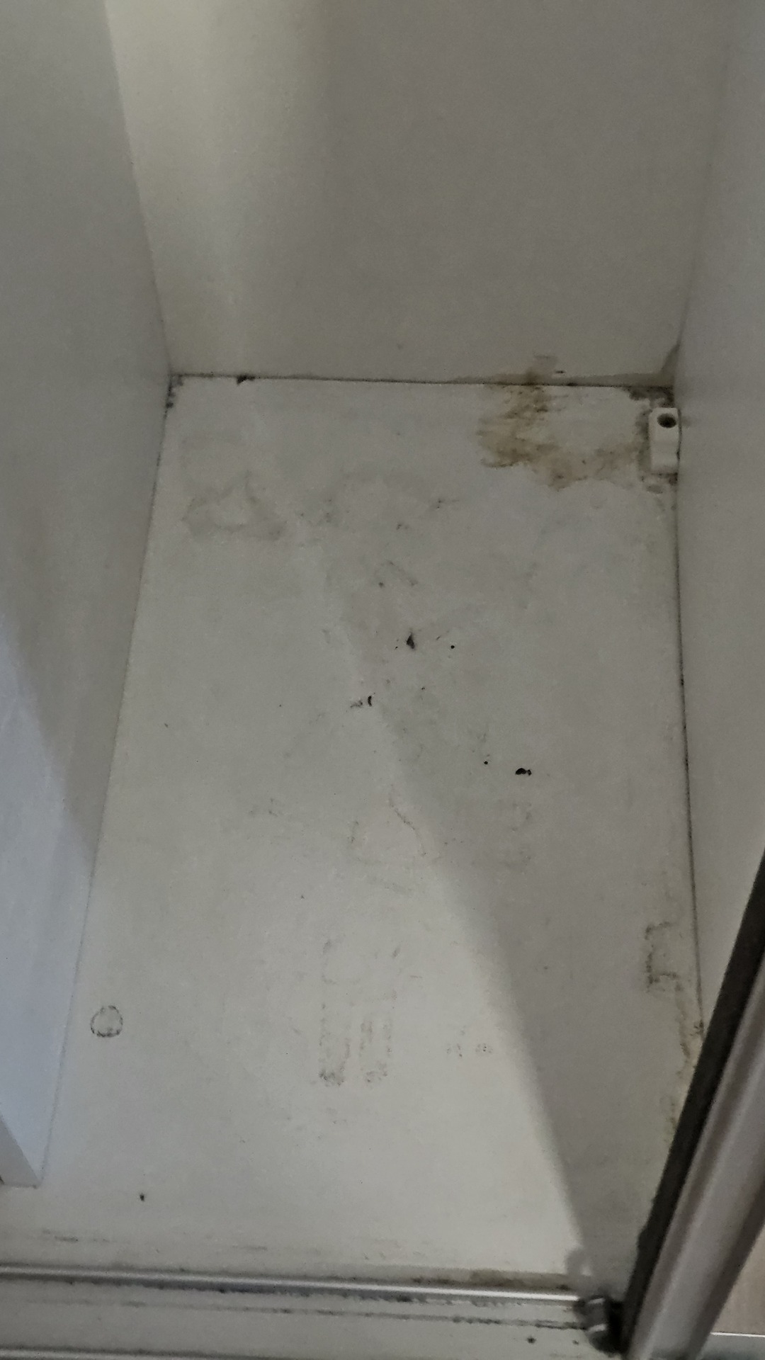 Before photo for Deep Cleaning