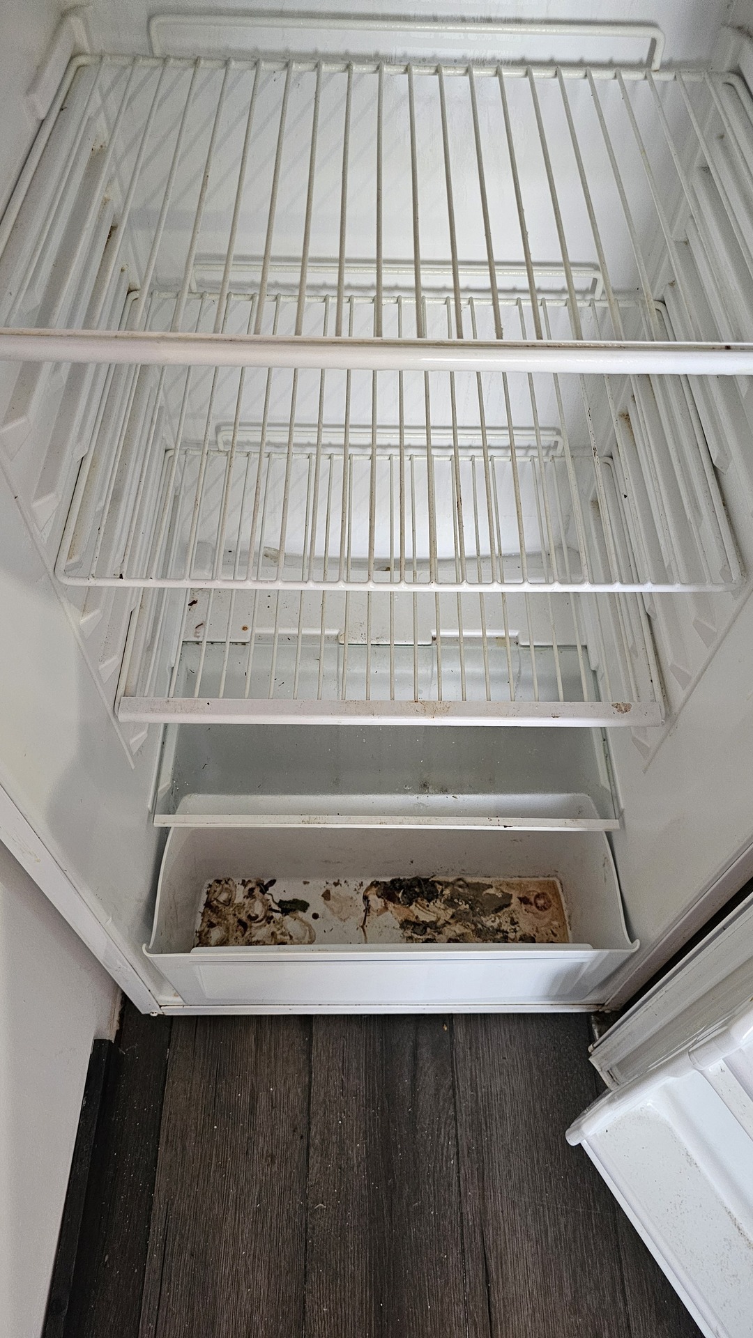 Before photo for Oven Cleaning