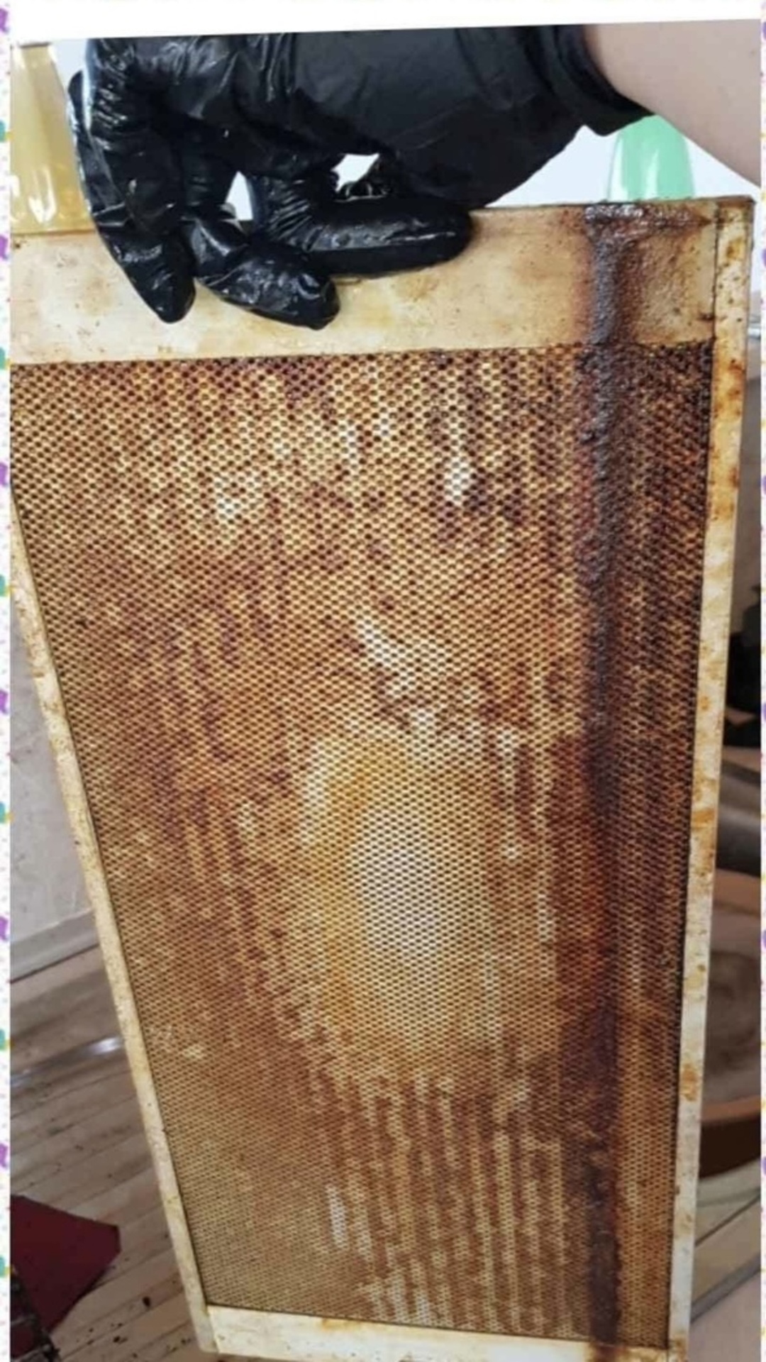 Before photo for Deep Cleaning