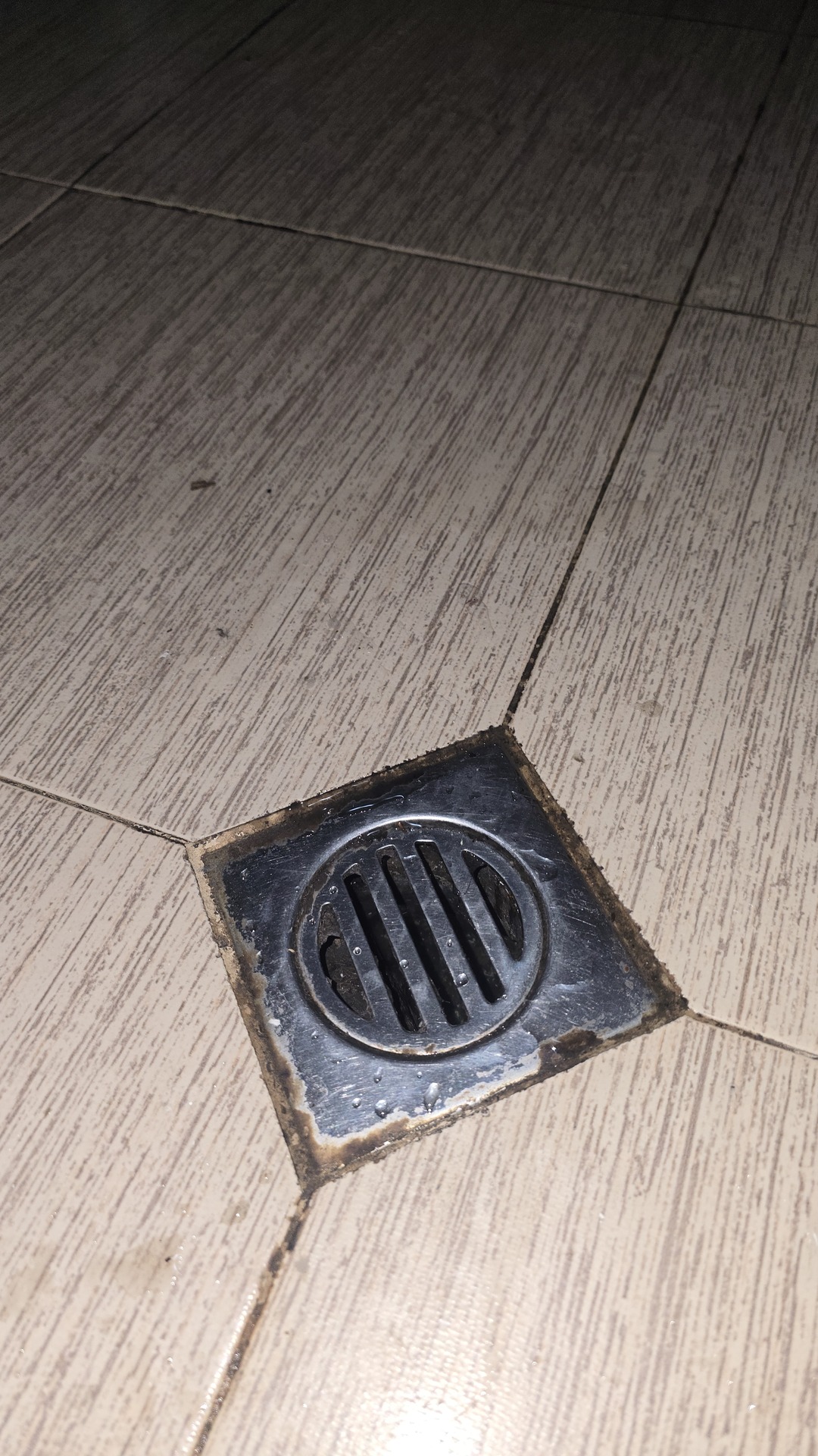 Before photo for Deep Cleaning