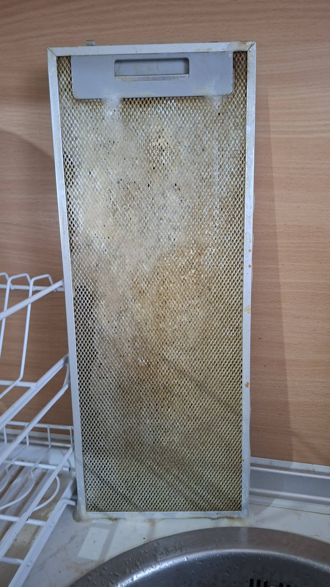 Before photo for Deep Cleaning