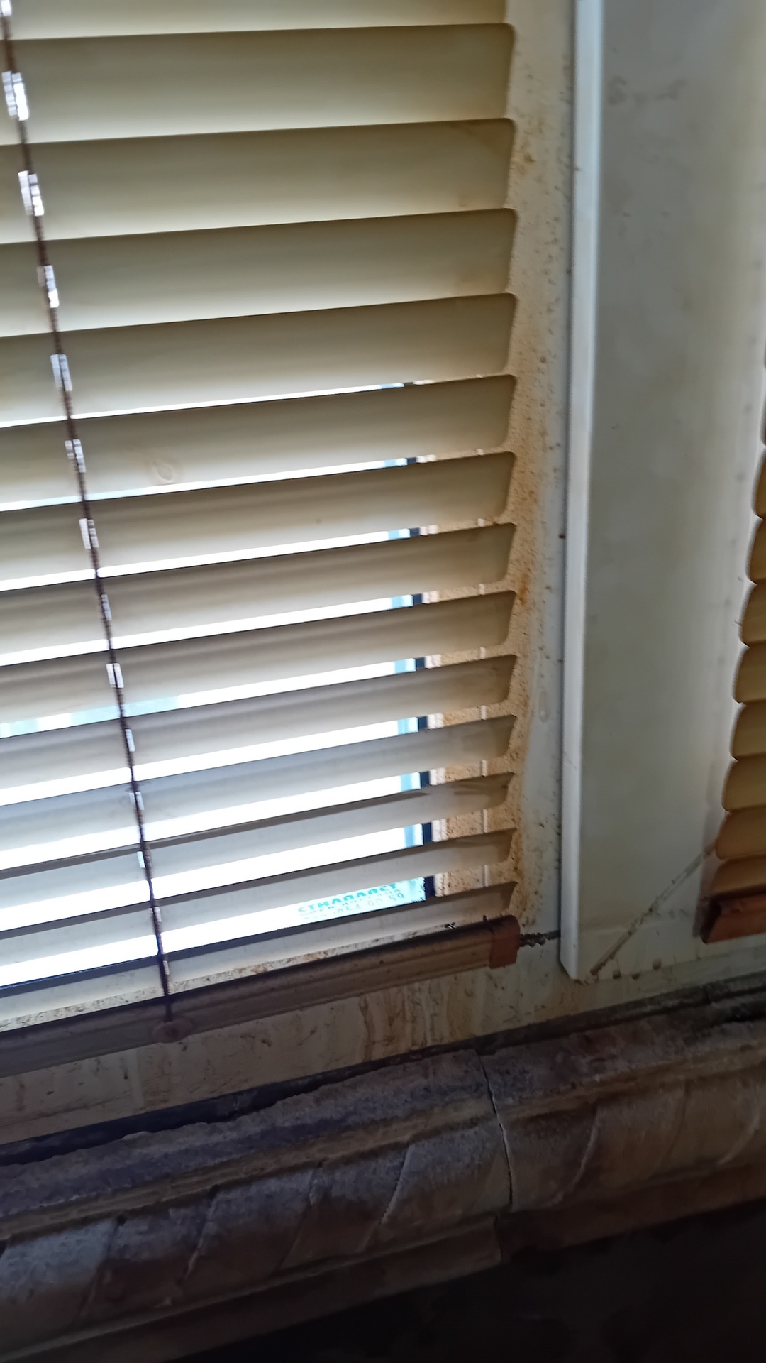 Before photo for Window Cleaning